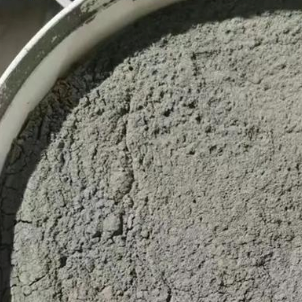双桥水泥基渗透结晶型防水涂料